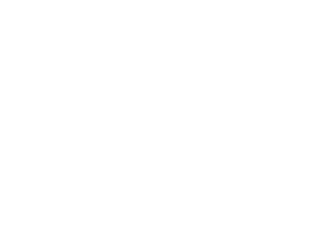 D'inox International
